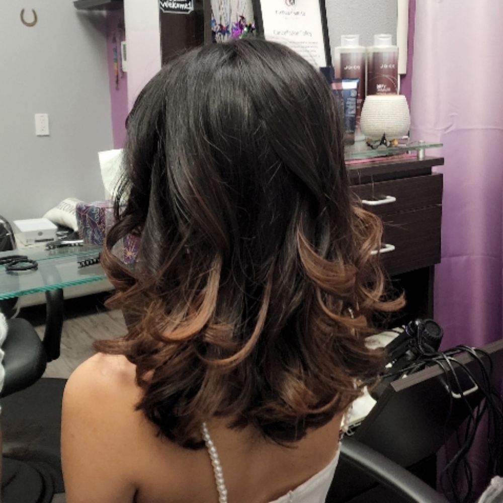 Shampoo & Blowdry at The Phoenix Hairchemy Salon in San Jose, CA