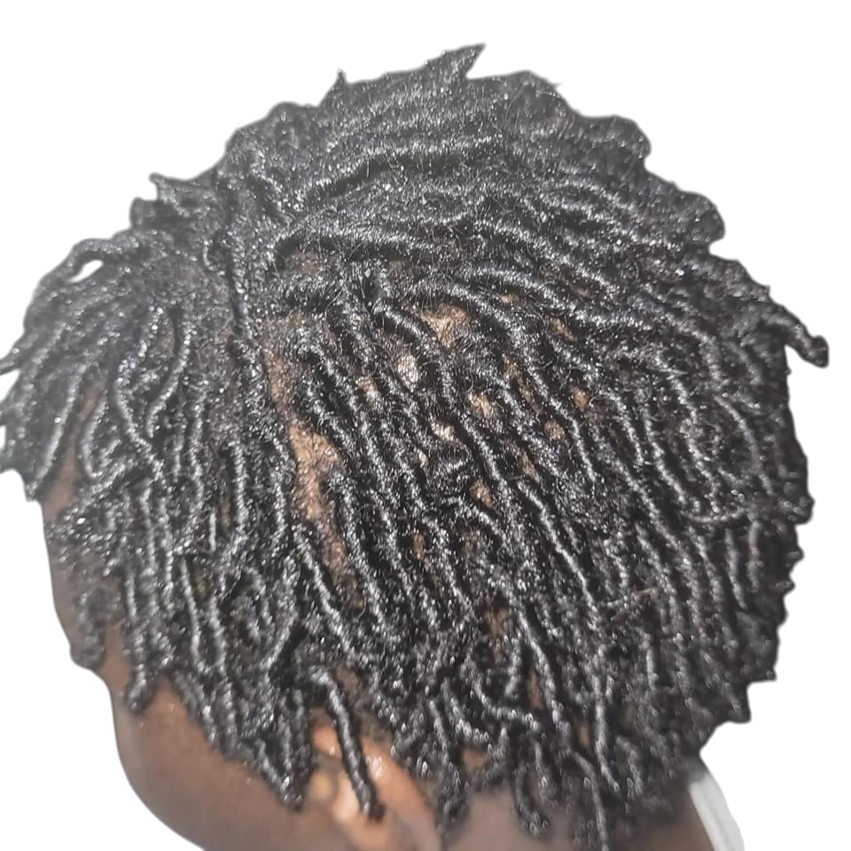 Starter Locs