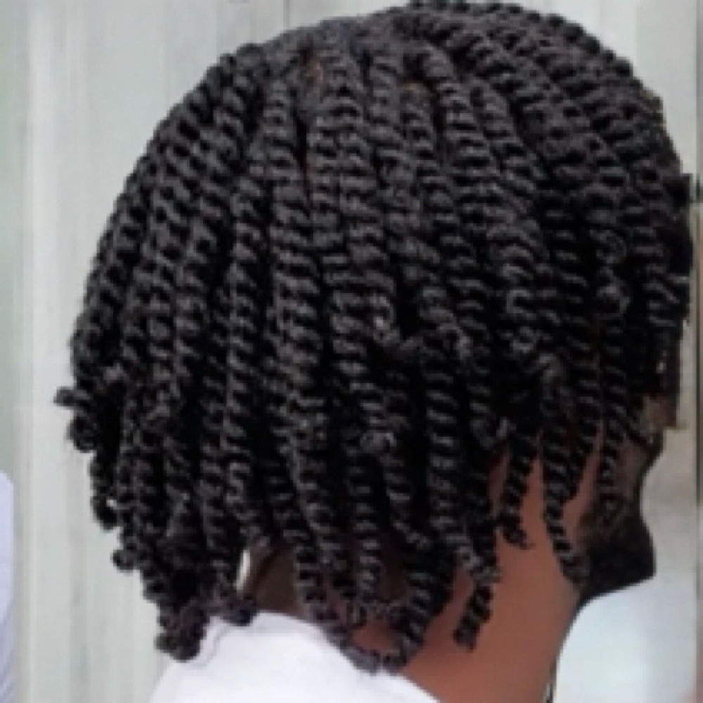 Medium Two Strand Twist at Fa2 Hair Salon in Vienna, VA