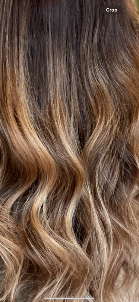 Full Highlight / Balayage + Cut