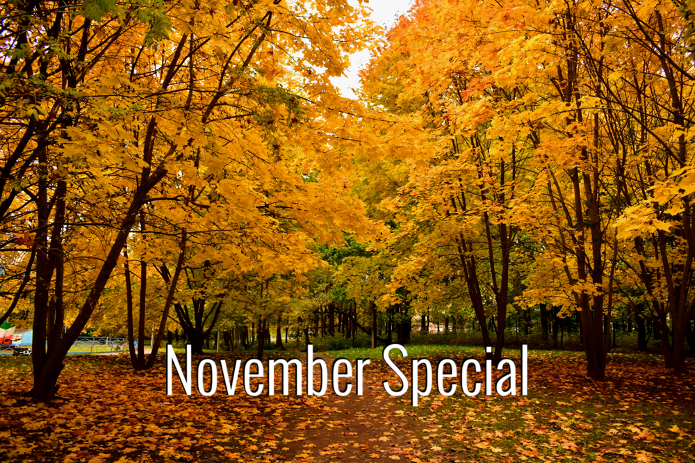 November Special