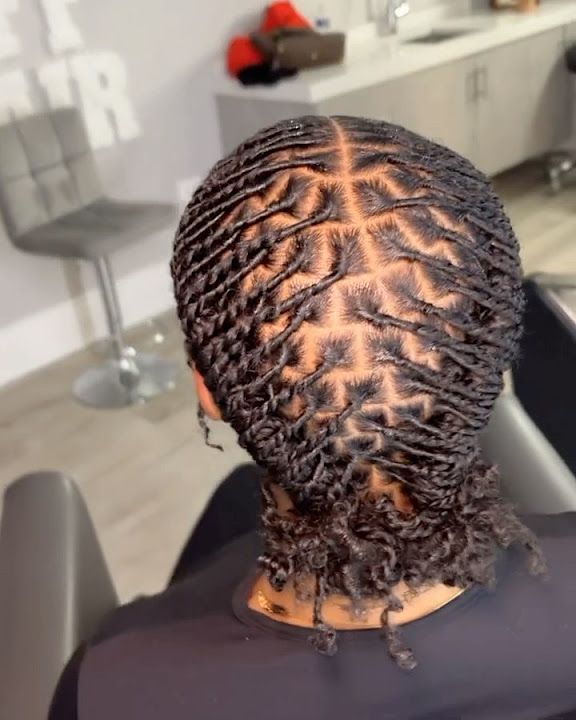 Traditional Starter Locs