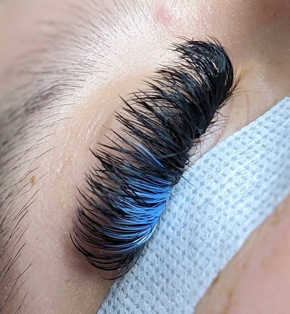 Splash Of Color Lashes