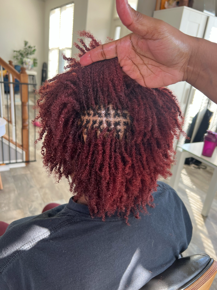 Micro Locs -  Maintenance - 5 Weeks