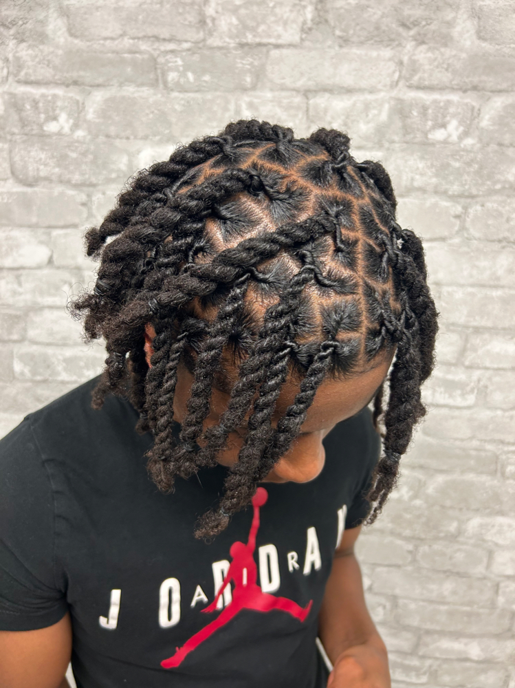 Retwist w/ two strand style