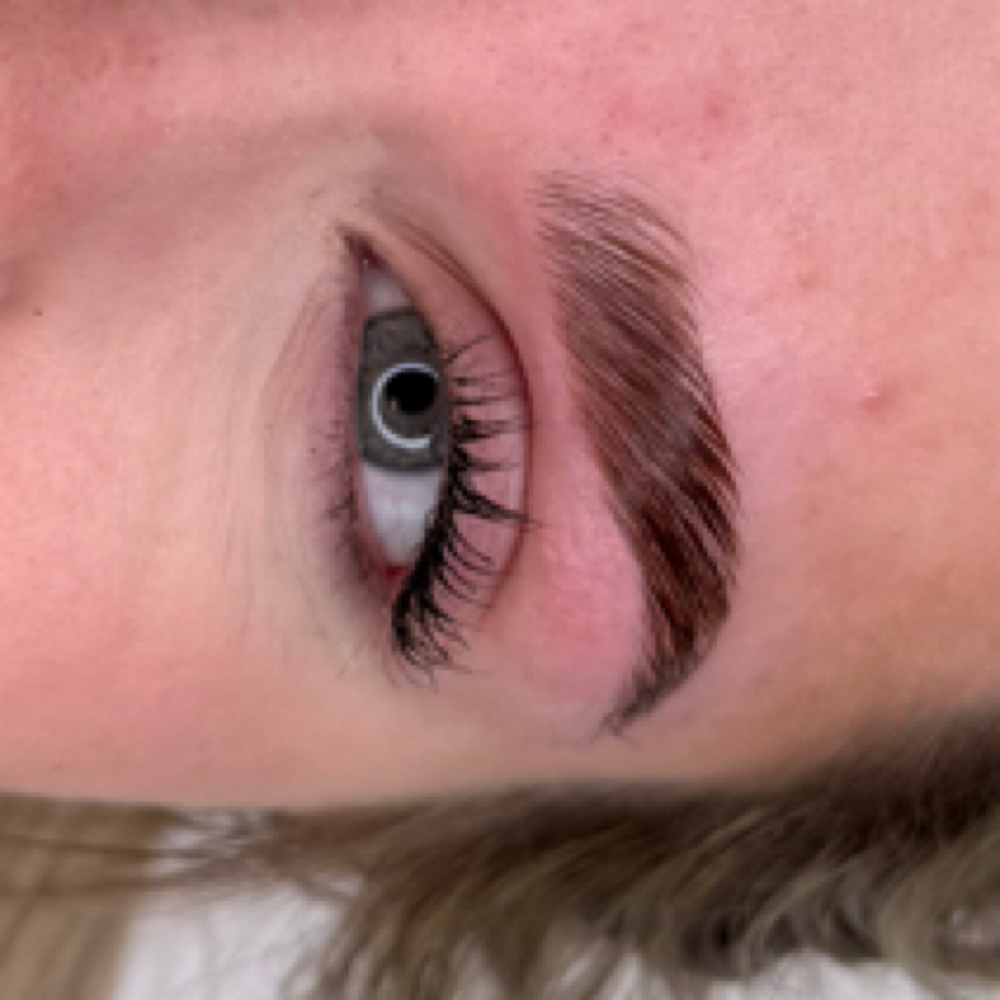 Lash Tint at Mo Esthetics LLC in South Salt Lake, UT