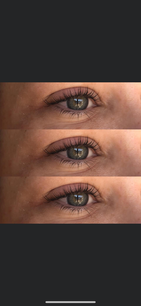 Lash & Brow Tint + brow wax