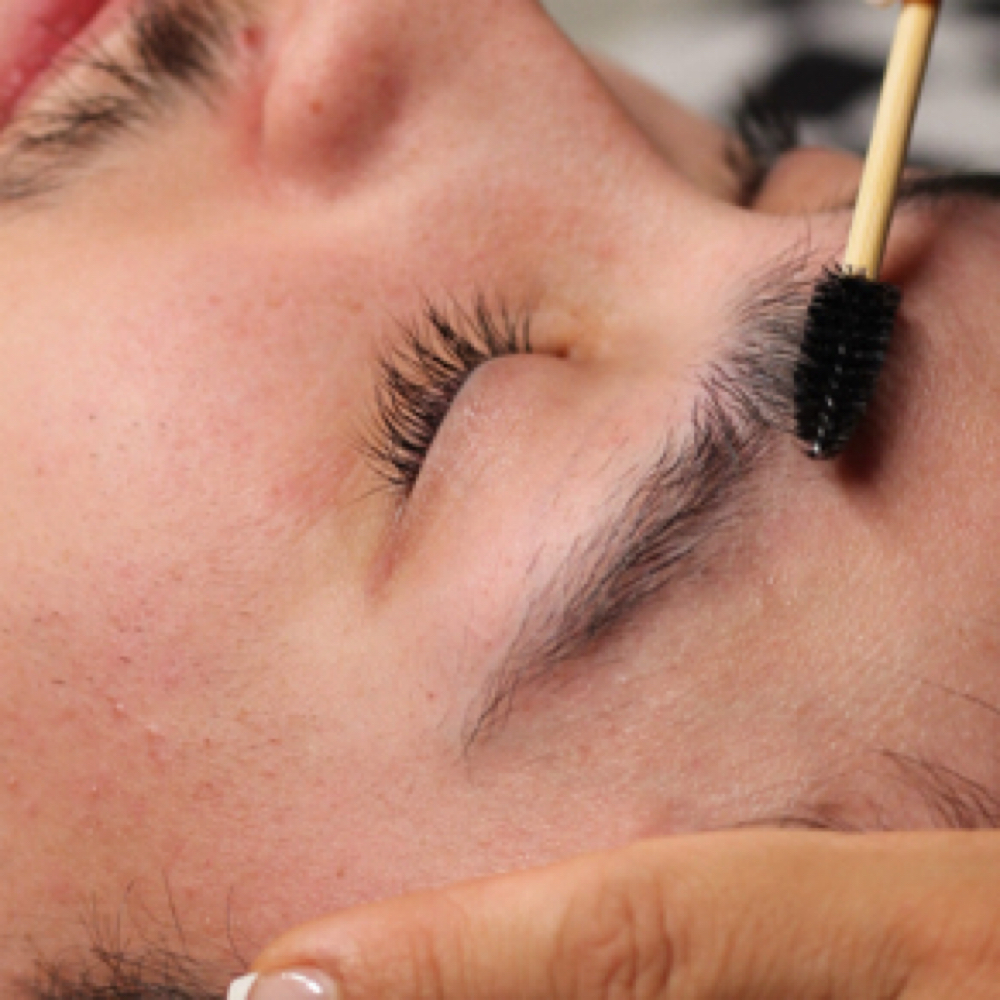 Brow/Lash Tint at VQLashes in Napa, CA