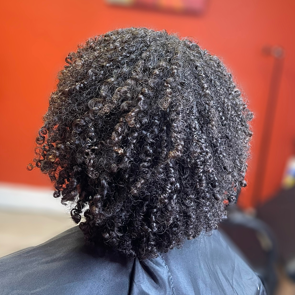 Natural Hair Wash & Go at Tamia English in Phoenix, AZ