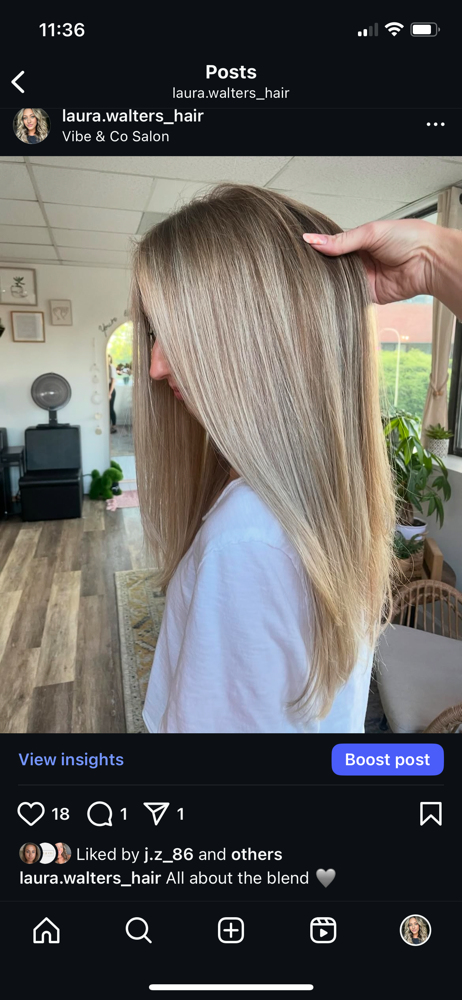 Partial Highlight & Blowdry