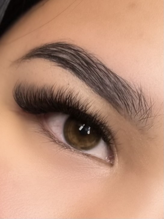 YY/3D Lashes