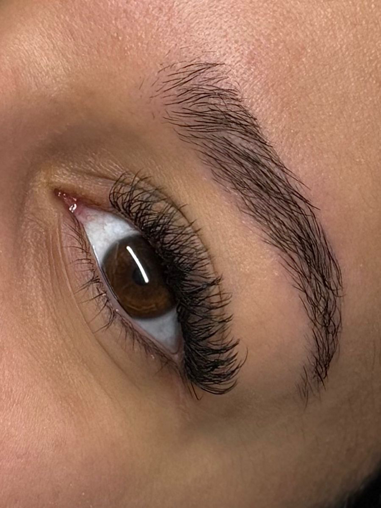 Brazilian - 2 weeks fill