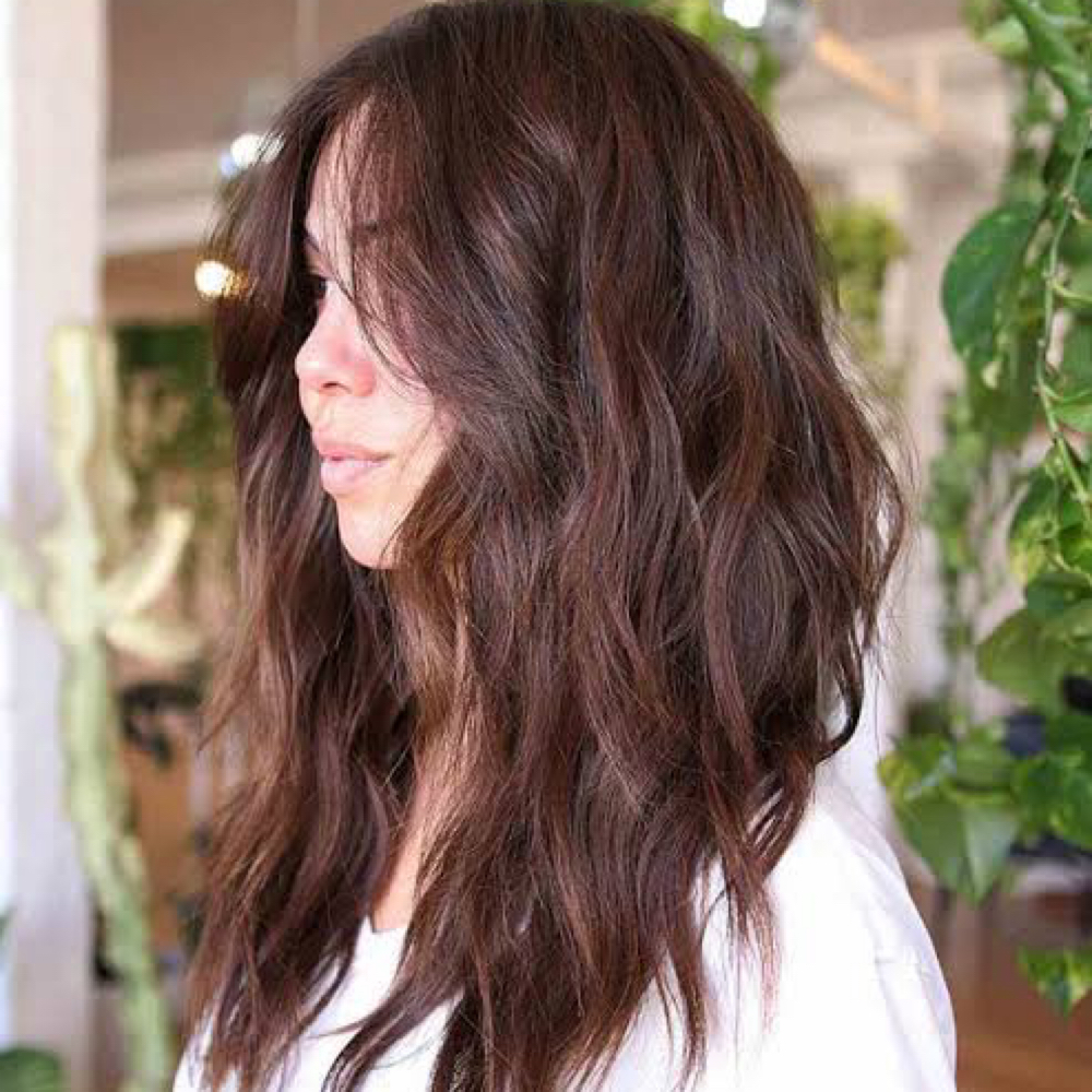 Single Process W/ Blowout at Renee & Co. Salon in Delray Beach, FL