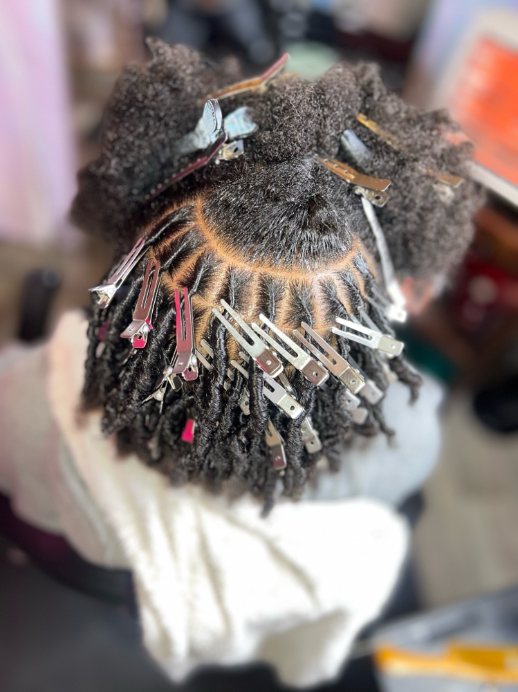 Starter Locs *DO NOT BOOK without consultation*