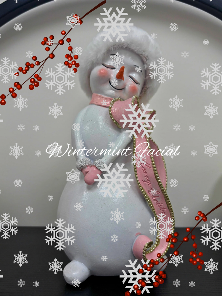 Wintermint Facial (Seasonal)