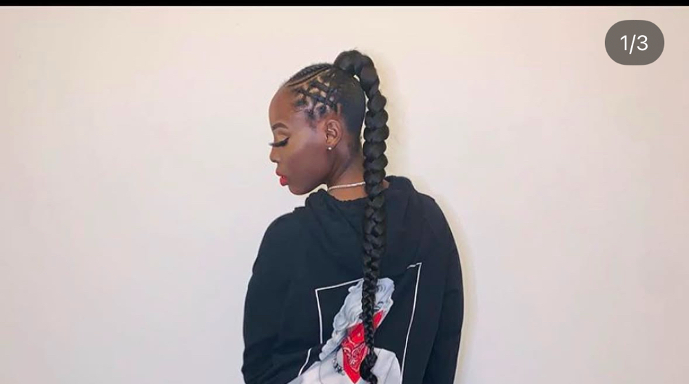 Braided Pony Tail