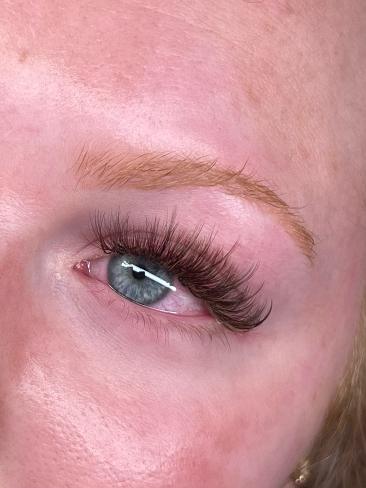 Full Brown Volume Set