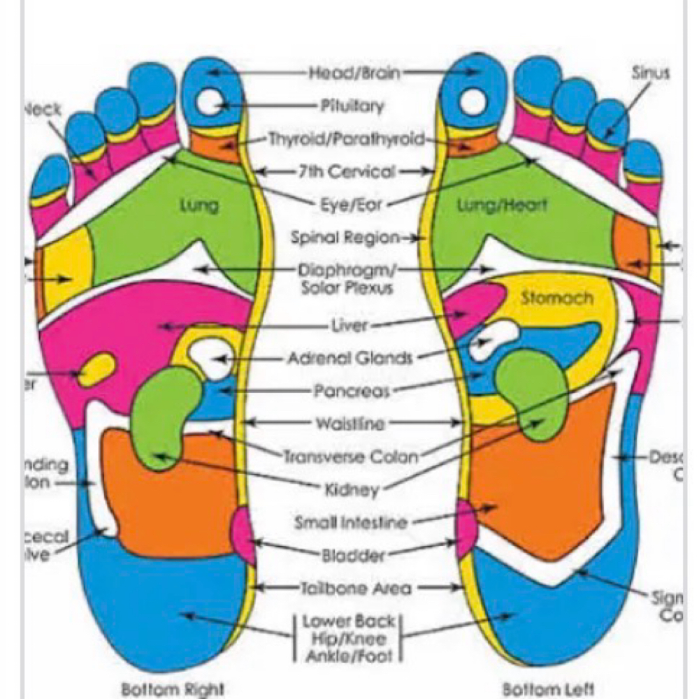Reflexology Session (30min) at Hearts in Motion PMA in Paintsville, KY