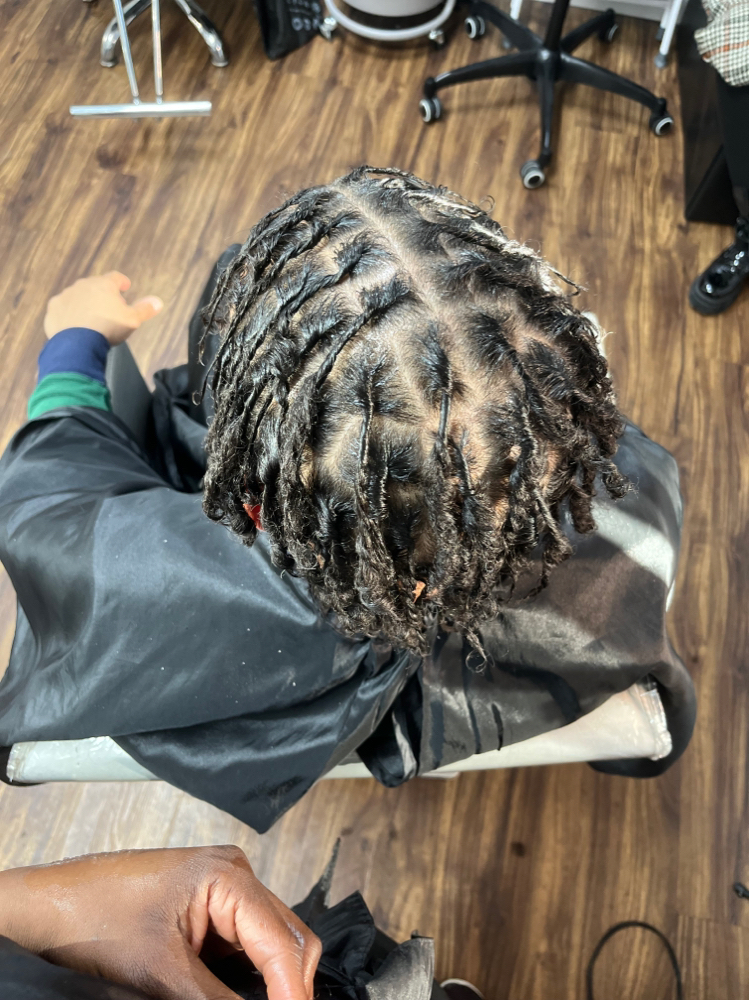 Starter Locs