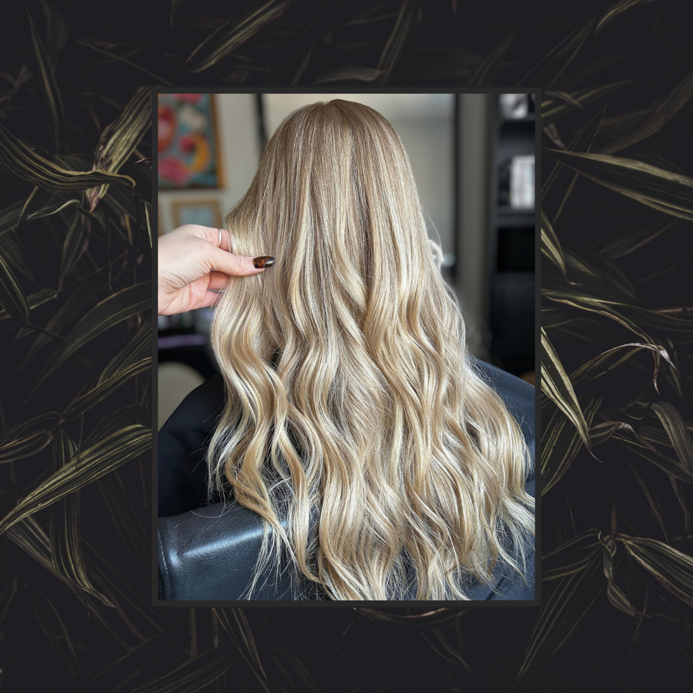 Full Highlight at Alchemy Hair Studio HKY in Hickory, NC