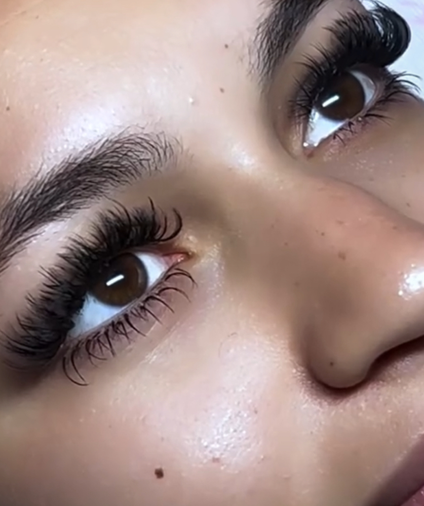 Bottom Lashes