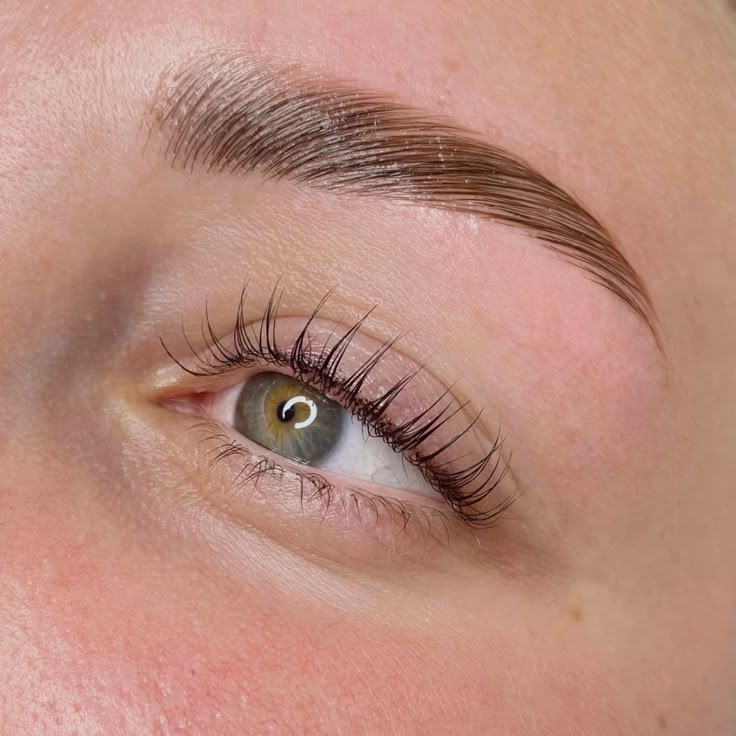 Brow & Lash Tour