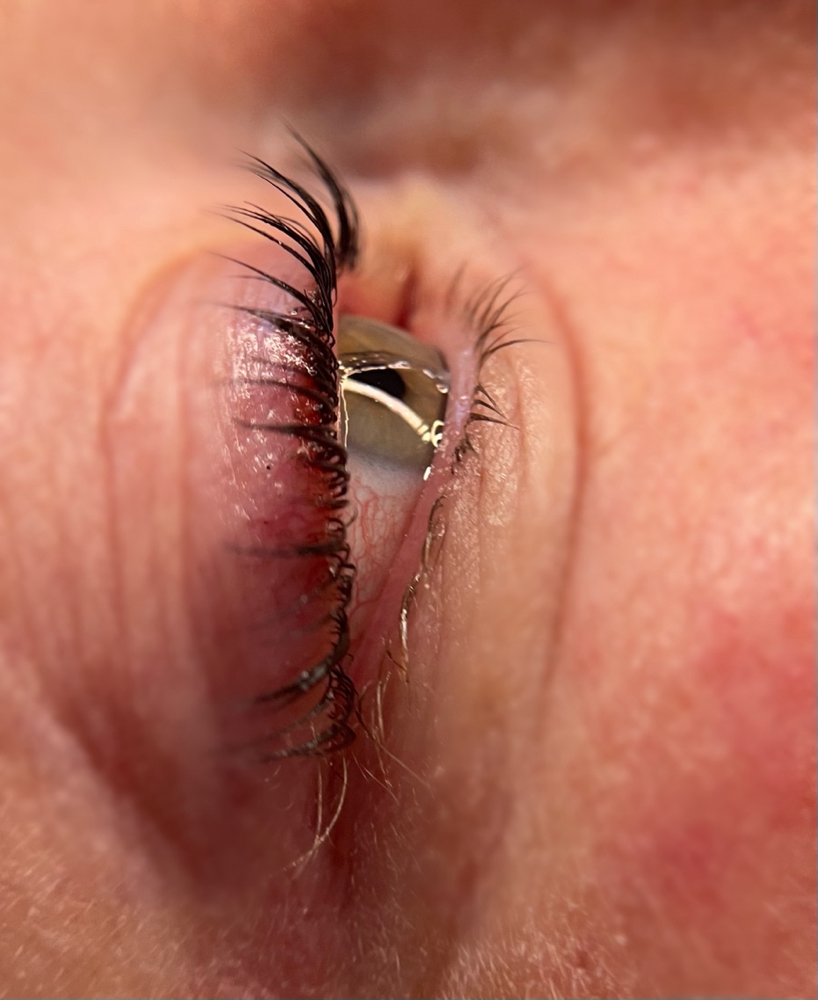 Eyelash Tint Only