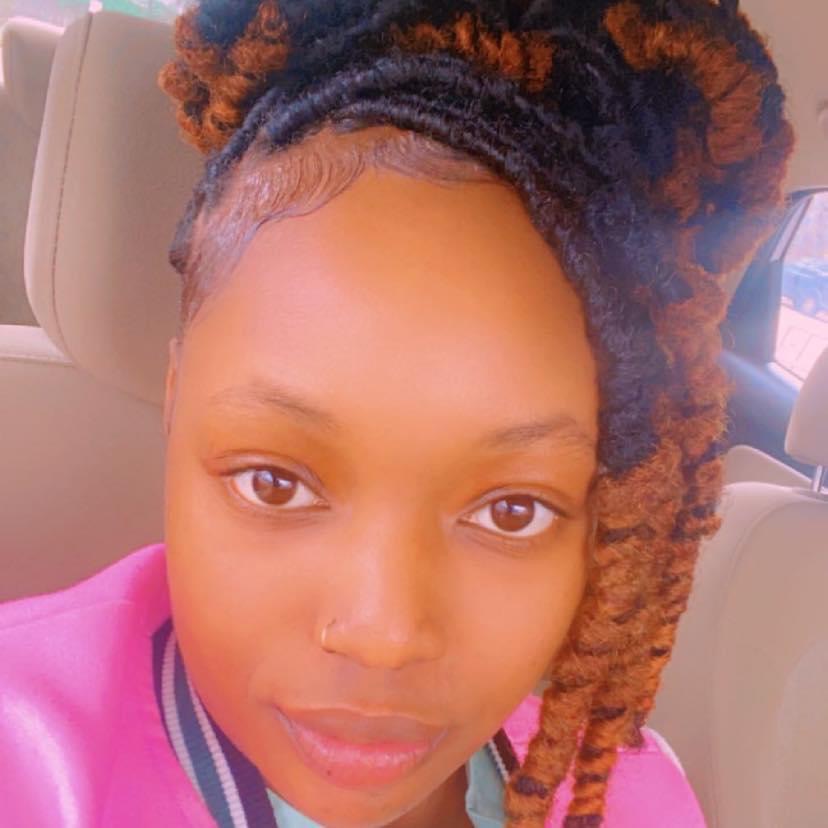 Stylesing Soft Locs
