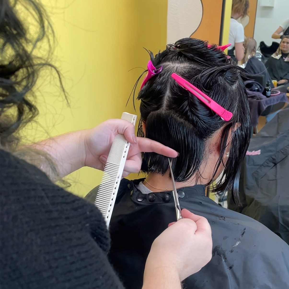 Haircut/New First Time Client at Monica Lopez in Issaquah, WA