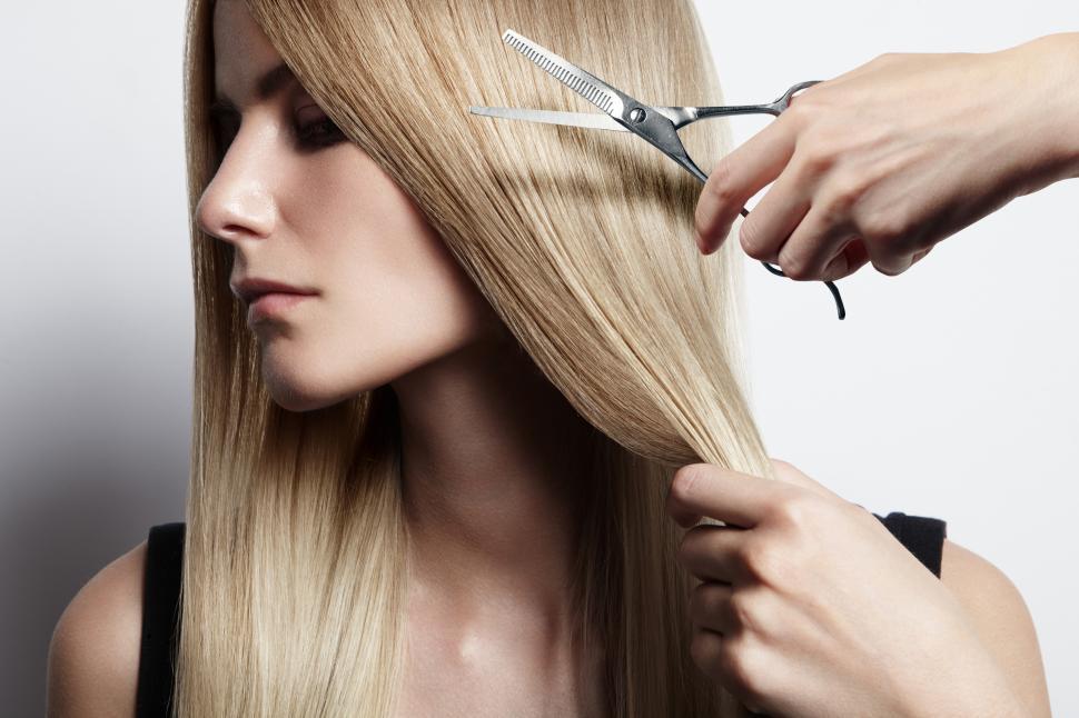 Dry Maintainence Cut