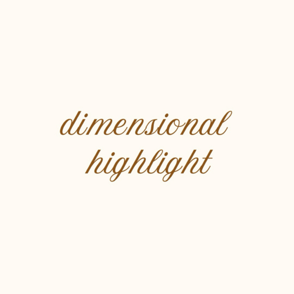 dimensional highlight at Haley Gabriel Hair in Round Rock, TX