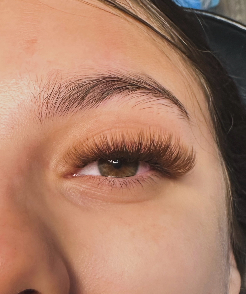 BROWN VOLUME LASH SET🧸
