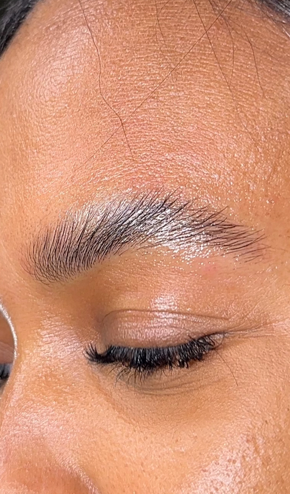 Eyebrow Lamination