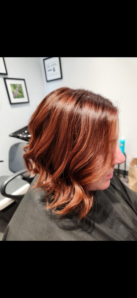 Haircut w/Blow Dry