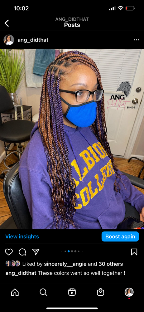 Knotless box Braid small mid back