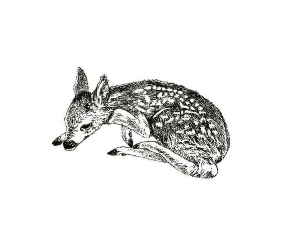 Tattoo (1 Hour)