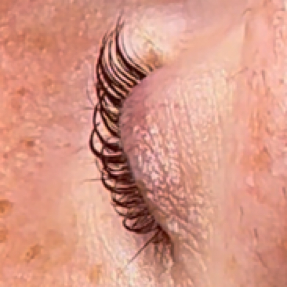 Korean LashLift Services at Alyssa’s Studio in San Antonio, TX