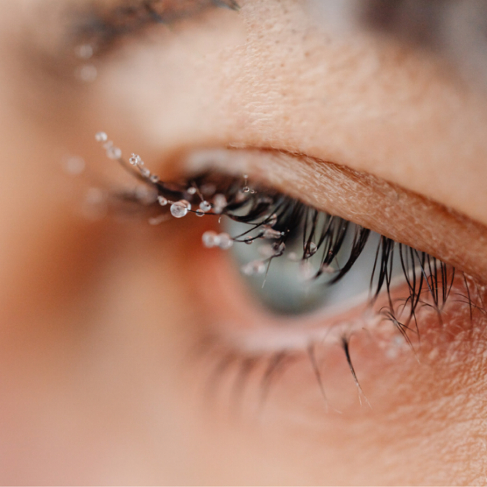 Eyelash Serum Treatment at Phenomenal Faces By Renae LaDonne in Inkster, MI
