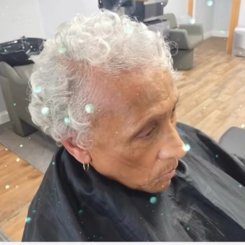 Roller Set-Senior Citizens Special at The Oasis Natural Hair Salon in Gibsonville, NC