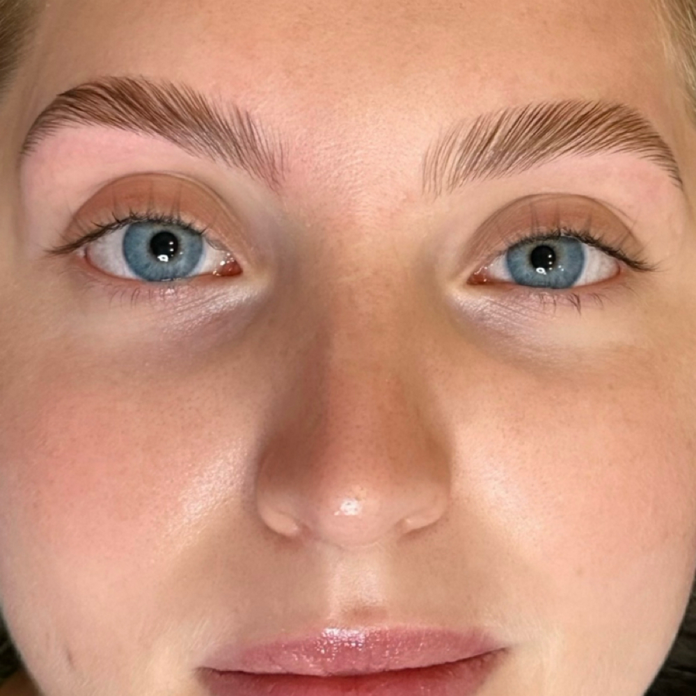 Brow Lamination & tint & Shape at Palm Beach Wax Studio & Skincare in Palm Beach Gardens, FL