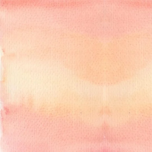 Stomach