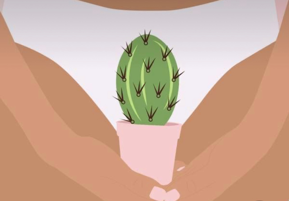 Inner thigh /hips/bellystrip