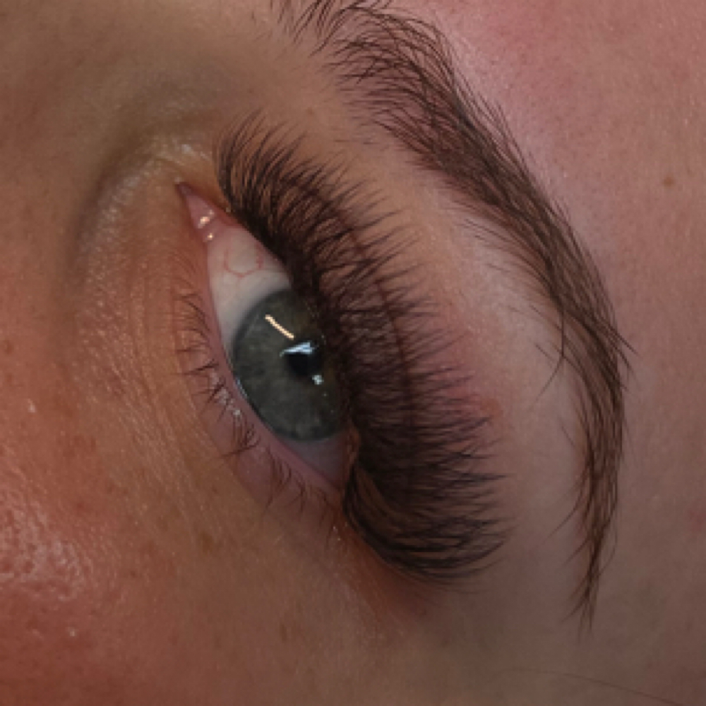 Volume Full Lash Set at Wax & Unwind in Mount Airy, MD
