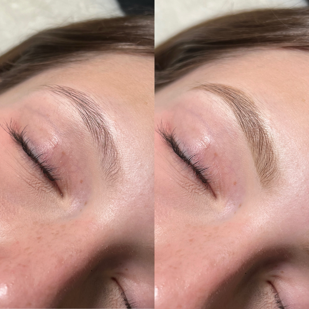 Brow Tint Only