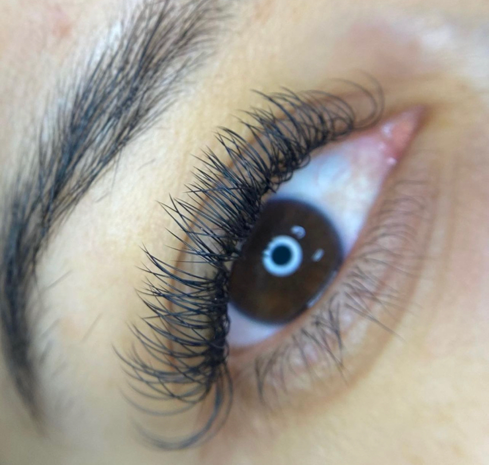 Classic Lash- (Full)