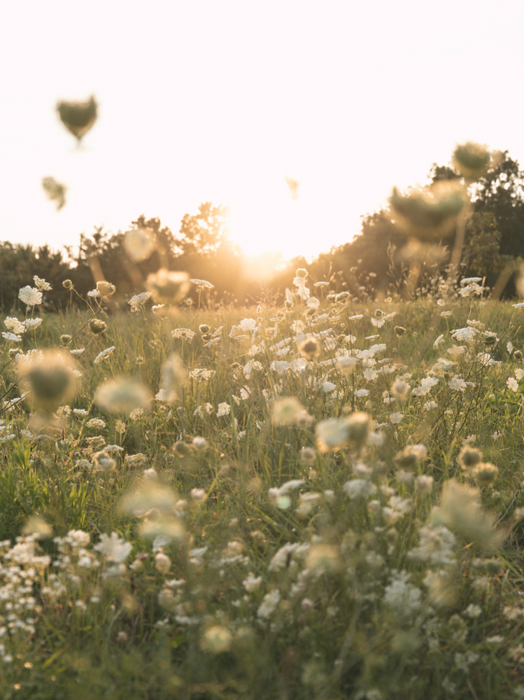 The Dreamiest Hydrafacial at Blush Aesthetics in Valparaiso, IN