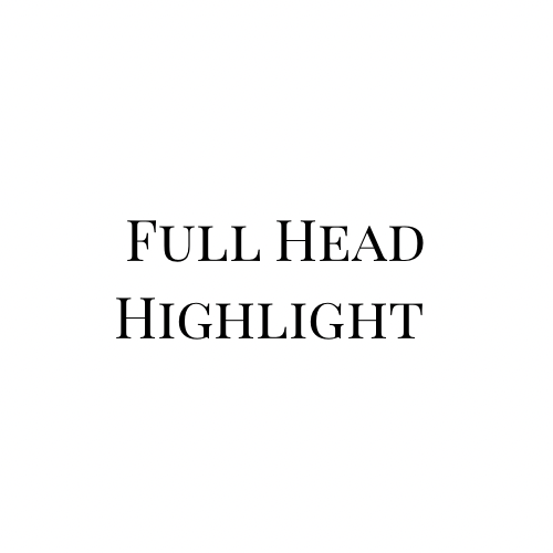 Full Head Highlighting