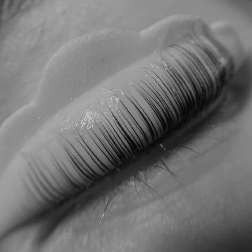 Lash Lift at Hair + Lash Company in Oxford, MS