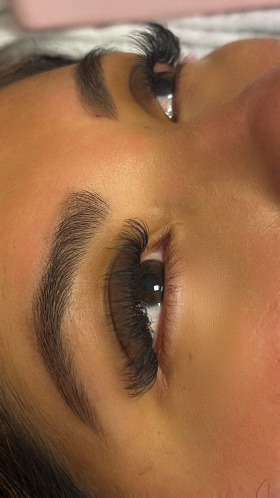 Full Hybrid Lash Set With Brow Tint