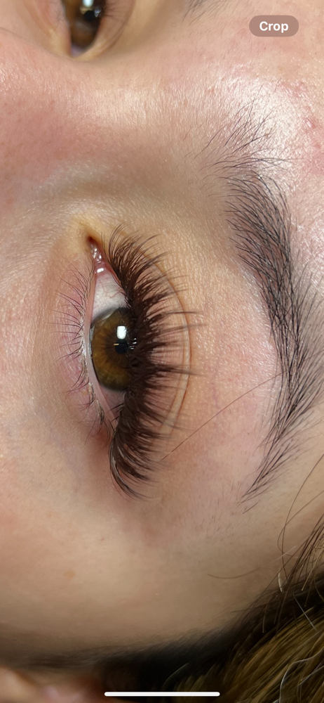 Hybrid Lash Fill